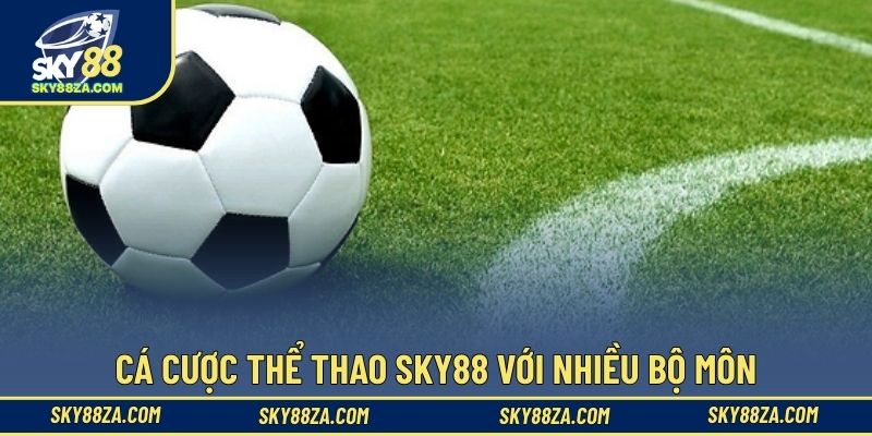 Cá cược thể thao Sky88 với nhiều bộ môn