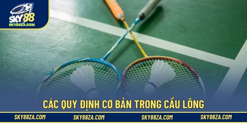 Các quy định cơ bản trong cầu lông