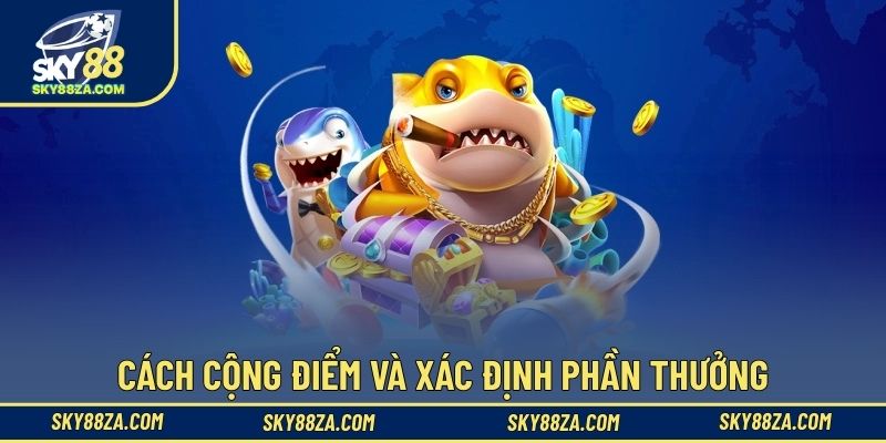 Cách cộng điểm và xác định phần thưởng