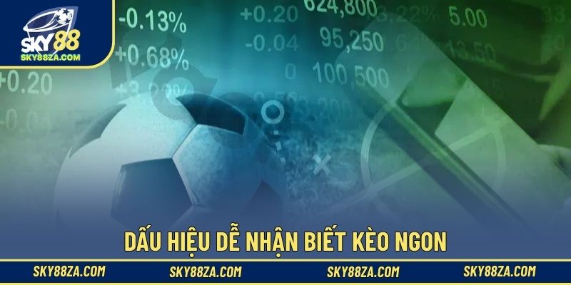 Dấu hiệu dễ nhận biết kèo ngon