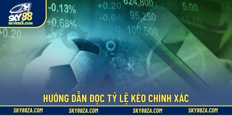 Hướng dẫn đọc tỷ lệ kèo chính xác