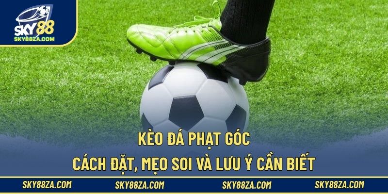 Kèo đá phạt góc