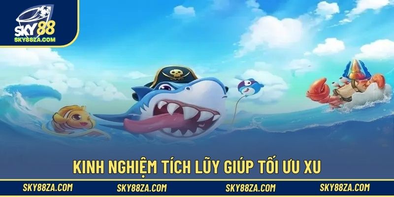 Kinh nghiệm tích lũy giúp tối ưu xu