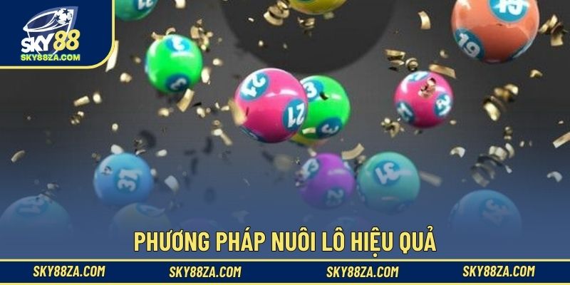 Phương pháp nuôi lô hiệu quả
