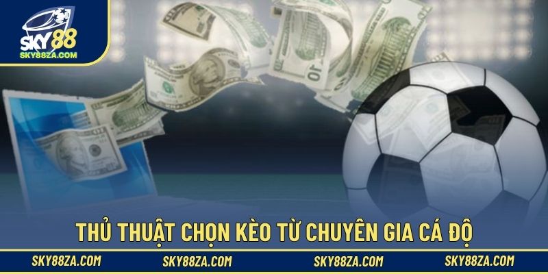 Thủ thuật chọn kèo từ chuyên gia cá độ
