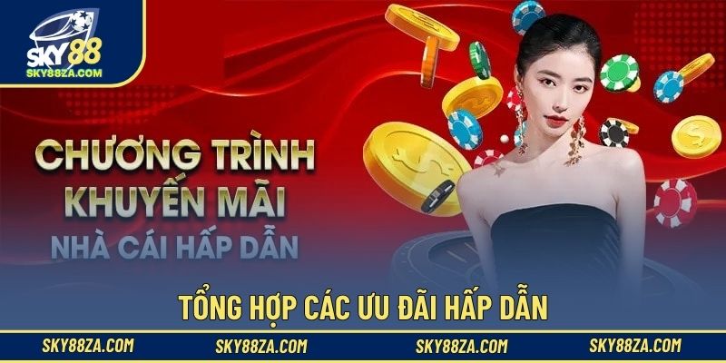 Tổng hợp các ưu đãi hấp dẫn